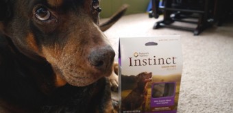 Natures-Variety-Dog-Treats