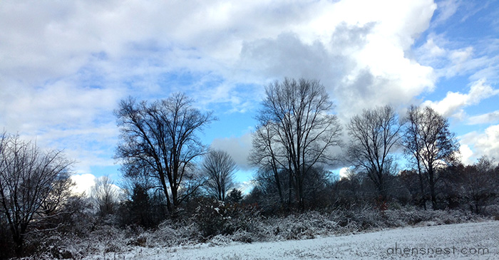nov8 snow blue sky