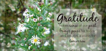thanksgiving-quote-gratitude