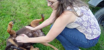 belly scratching dog