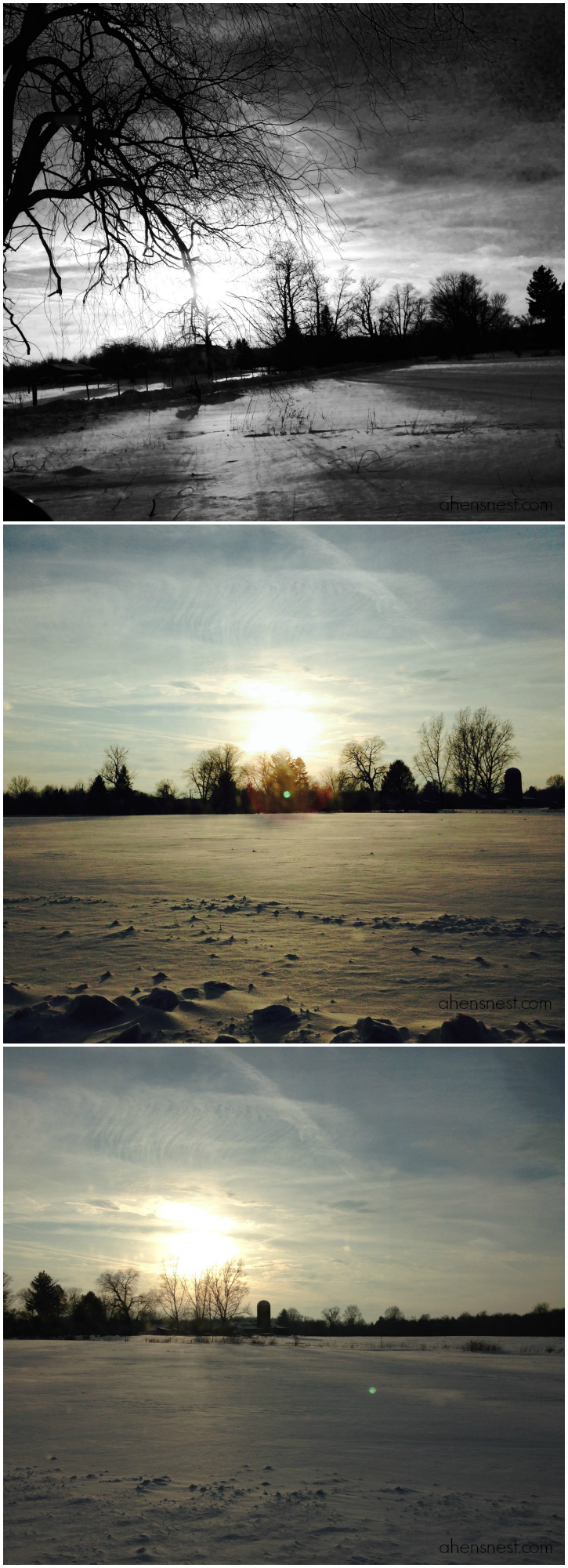 Winter-Landscape-Collage-Northwest-Pennsylvania-snow-2014
