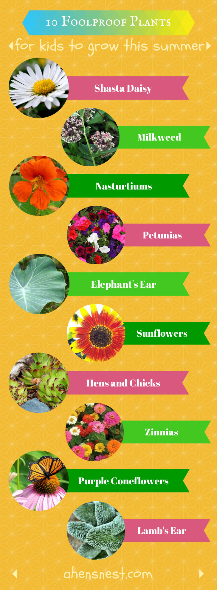 10 foolproof plants for kids to grow this summer
