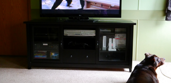 Sauder-Furniture-Experience-TV-Credenza